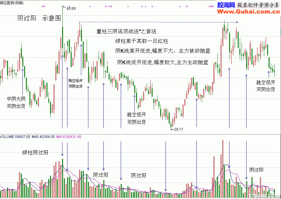 NG体育-法兰克福战术灵活多变，攻守兼顾令对手难以招架